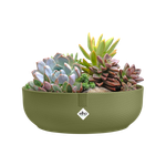 jazz bowl 28cm may green